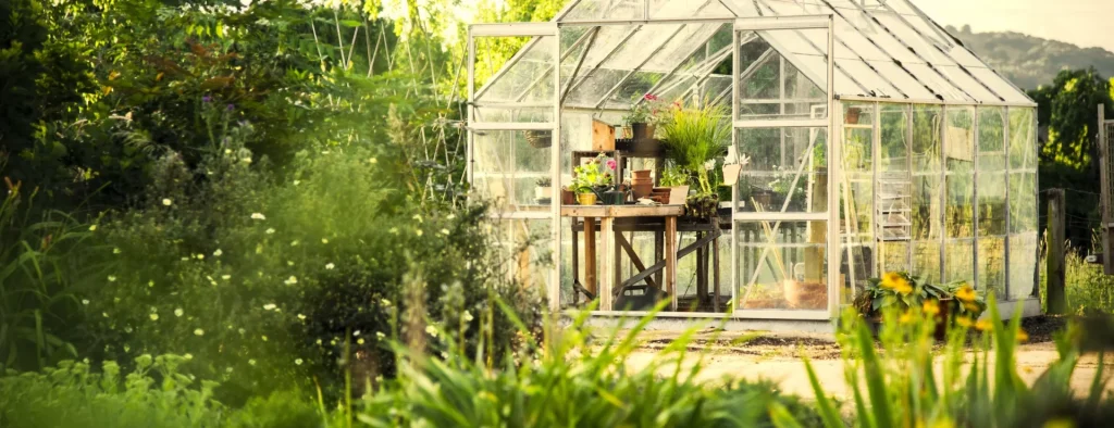 Serre entourée de verdure